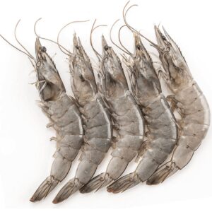 black tiger shrimp 01.jpg