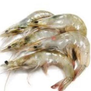 raw white shrimp 02.jpg